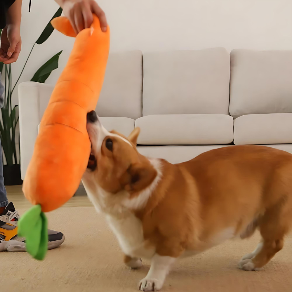 CarrotPlush • Interactive Dog Chew Toy