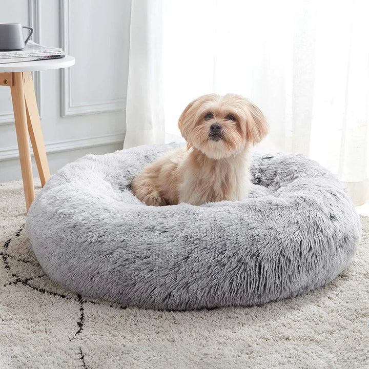 BowLift | Orthopedic Plush Donut Dog Bed