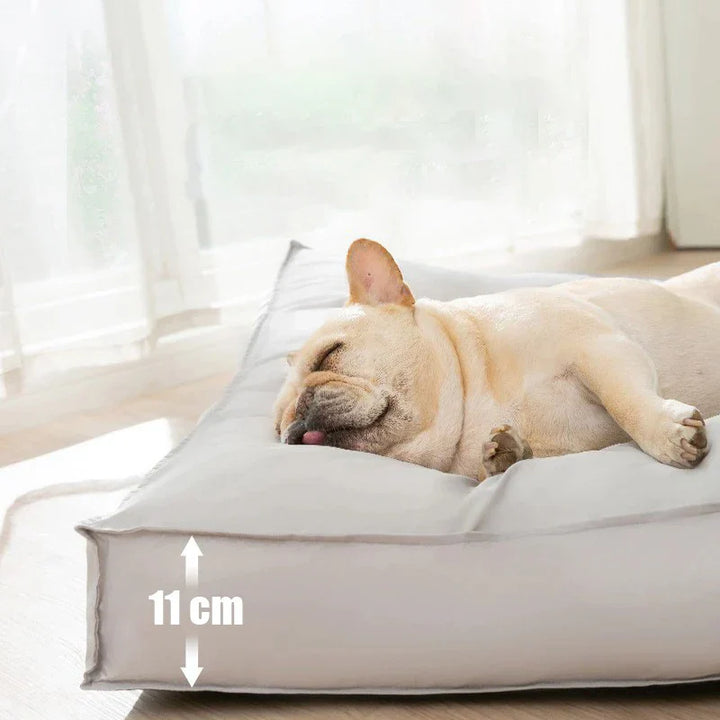 Orthopedic Dog Bed – RelaxPfote Comfort Bowlift