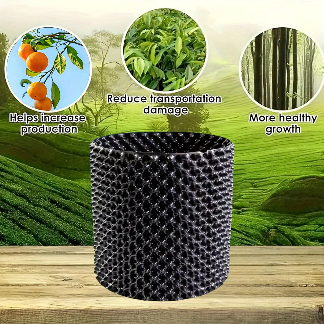 BowLift | Root control device for plants and landscaping to promote healthy growth