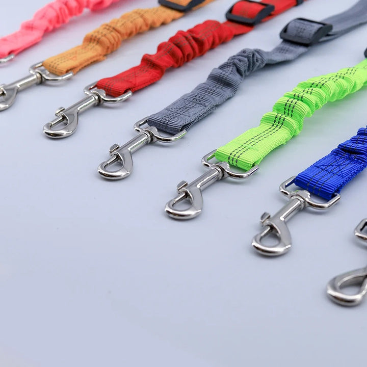 LouisSafe – Adjustable Shock Absorbing Dog Seatbelt Bowlift