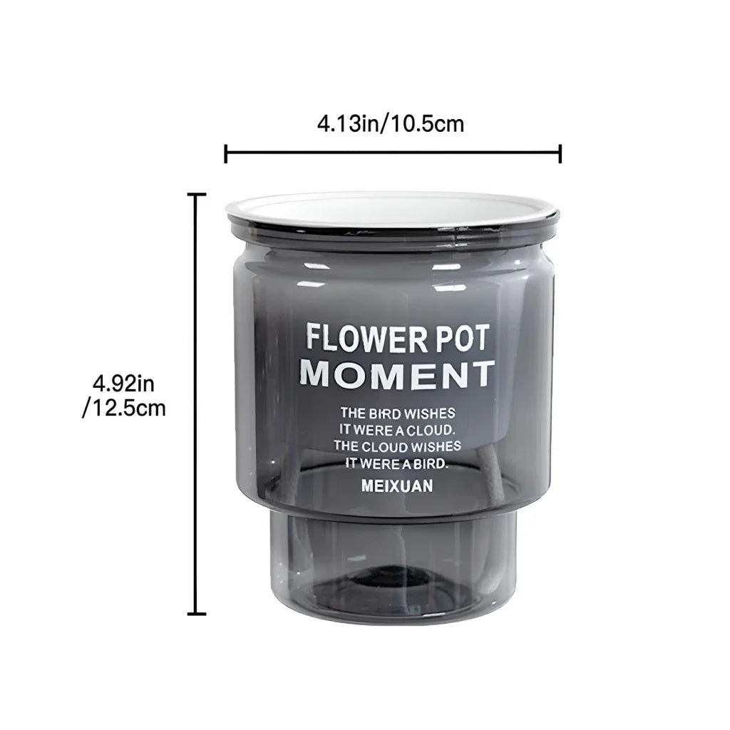 BowLift | Self-Watering Transparent Succulent Planter