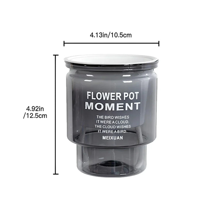 BowLift | Self-Watering Transparent Succulent Planter