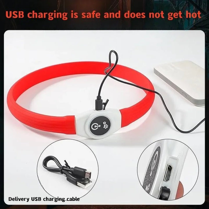 BowLift | LED Light Collar for Dogs for Safe Walks at Night