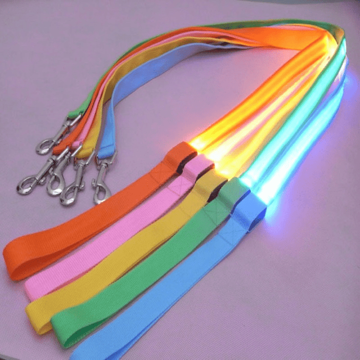 BowLift | LED dog leash with USB charging & reflective design