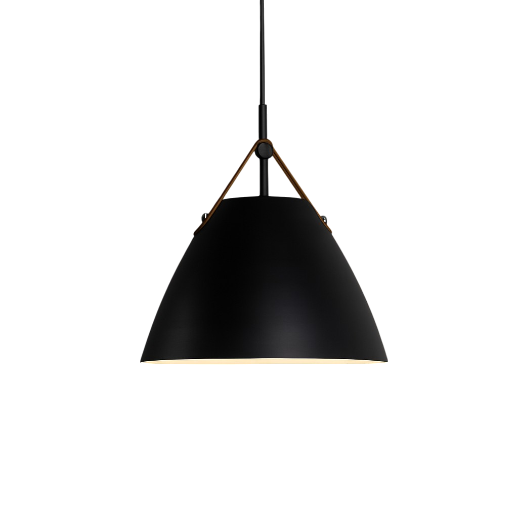 Scandinavian Metal Pendant Lamp with Color Accents and E27 LED Socket