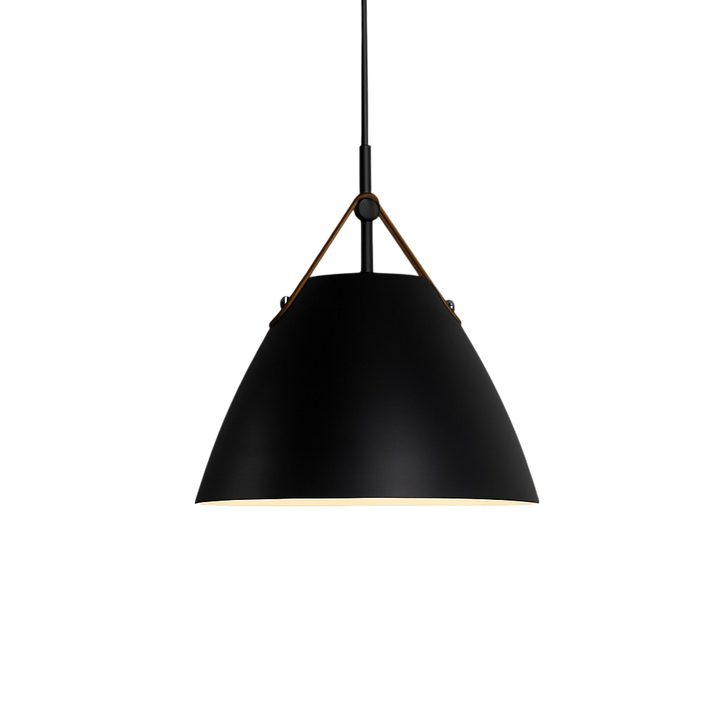 Scandinavian Metal Pendant Lamp with Color Accents and E27 LED Socket