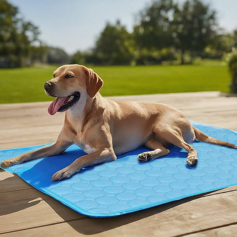 BowLift | Self-Cooling Mat for Four-Legged Friends Ideal for Hot Summer