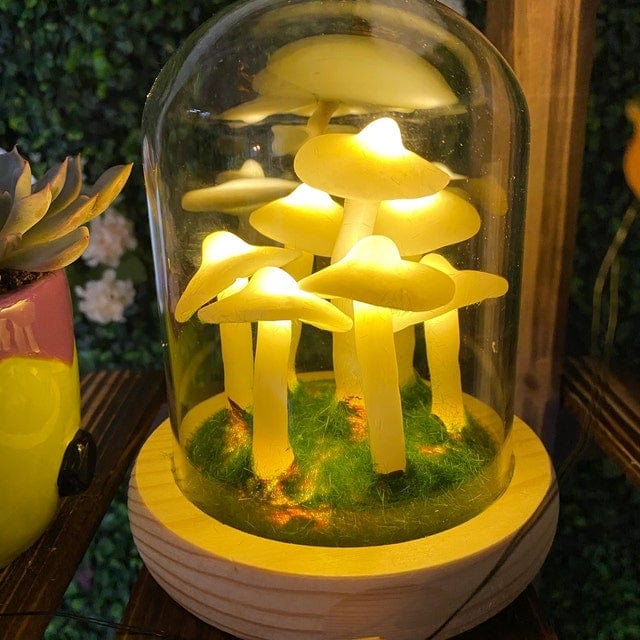 BowLift | Home cultivation with a touch of magic