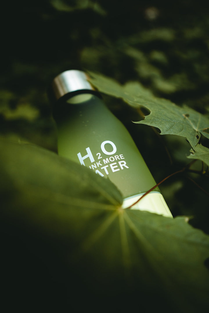 H²O Fruit Infusion Water Bottle | Bowlift