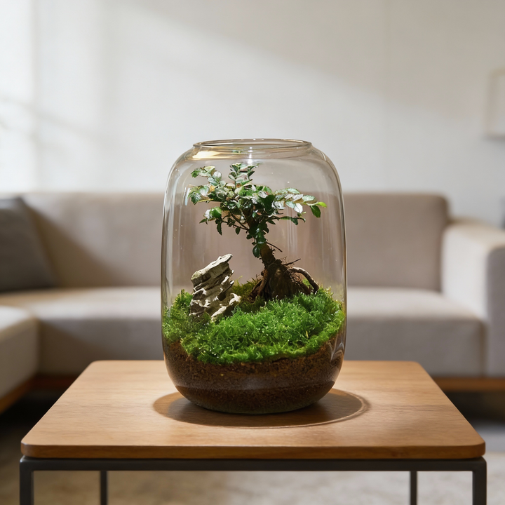 BowLift | Micro Landscape Glass Vase | Clear Terrarium Planter for Succulents & Home Decor
