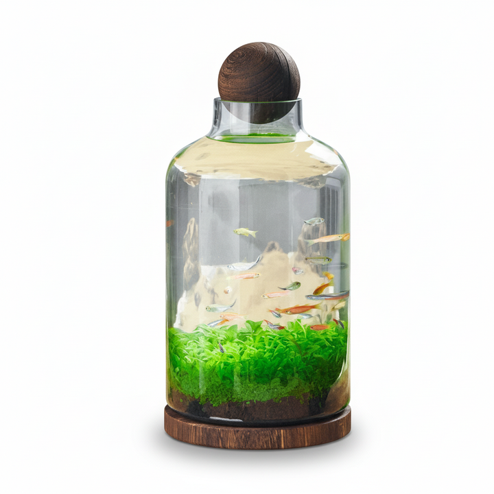 Compact Glass Micro Aquarium with 24 × 17 cm and 36 × 17 cm Options