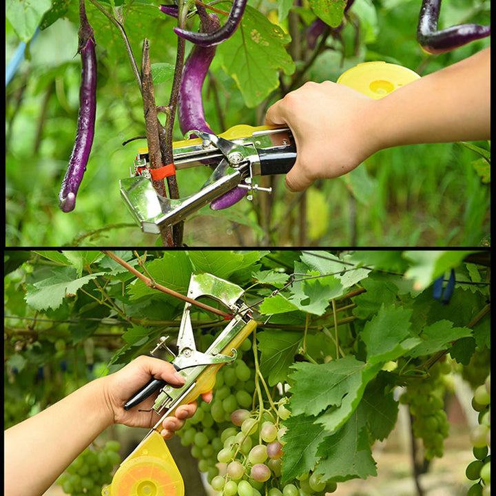BowLift | Vegetable & Fruit Strapper