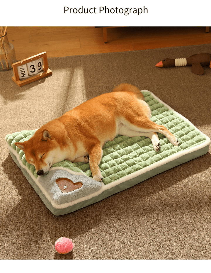 BowLift | Soft dog bed for small & medium-sized dogs