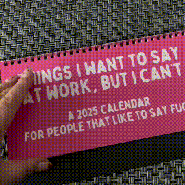 BowLift | Funny 2025 sarcastic calendar