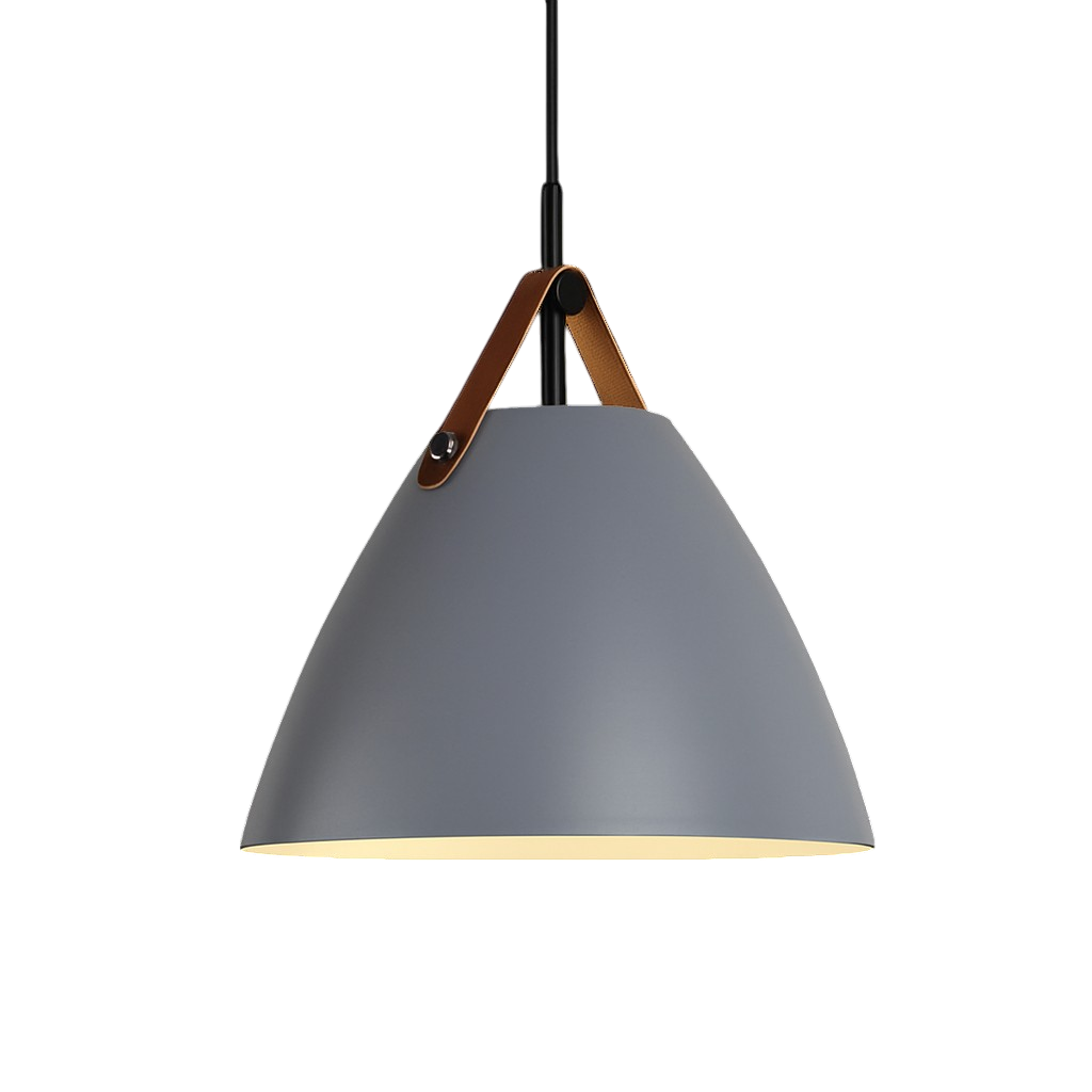 Scandinavian Metal Pendant Lamp with Color Accents and E27 LED Socket