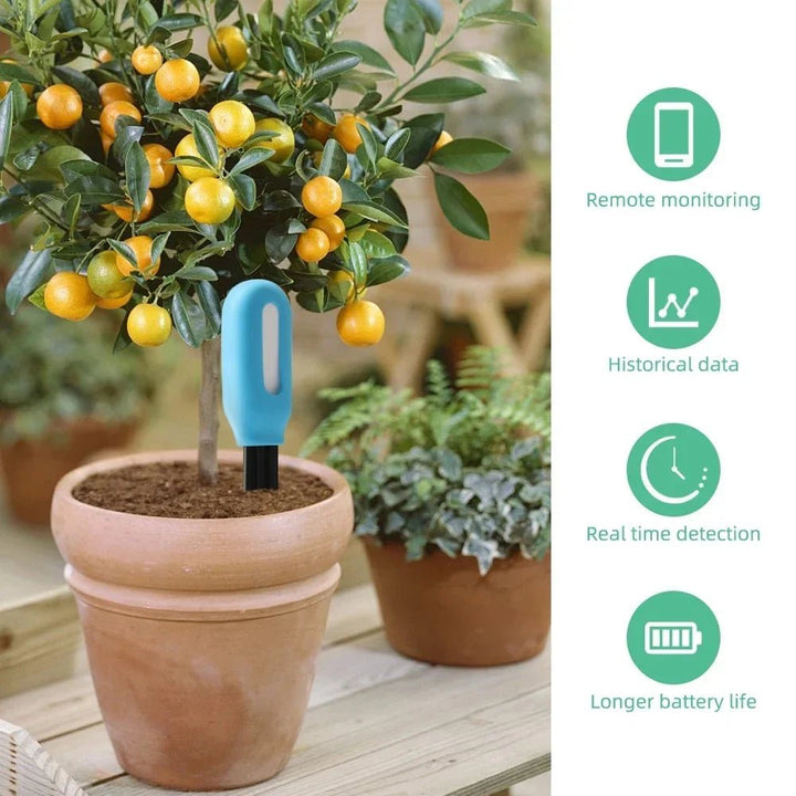 BowLift | Intelligent Soil Meter with Real-Time Monitoring