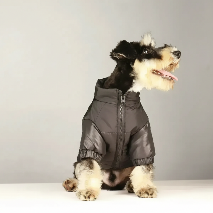 Padded Winter Jacket for Dogs - FurShield Bowlift