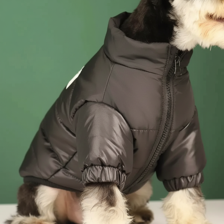 Padded Winter Jacket for Dogs - FurShield Bowlift