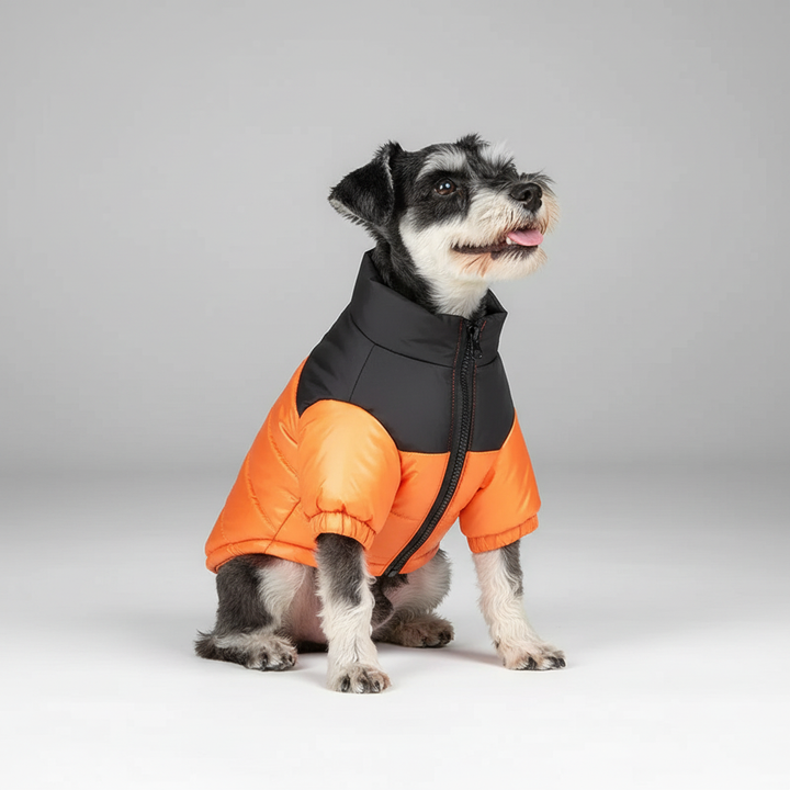 Padded Winter Jacket for Dogs - FurShield Bowlift