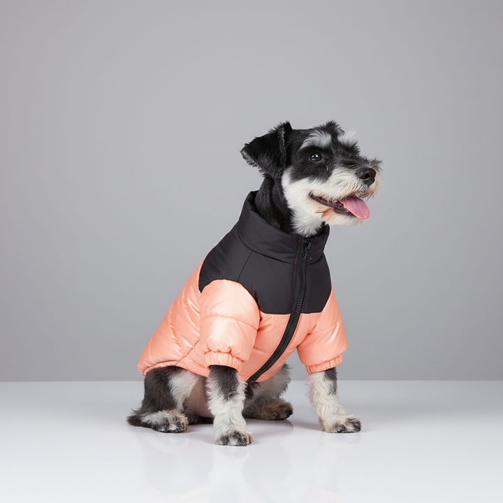 Padded Winter Jacket for Dogs - FurShield Bowlift