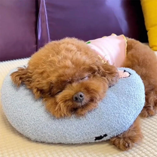 CozyPaws Cushion for Dogs - RelaxPad Bowlift