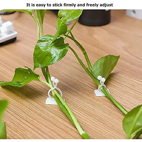BowLift | Climbing Wall Mounting Clips – Practical Plant Holders for Wall Decoration