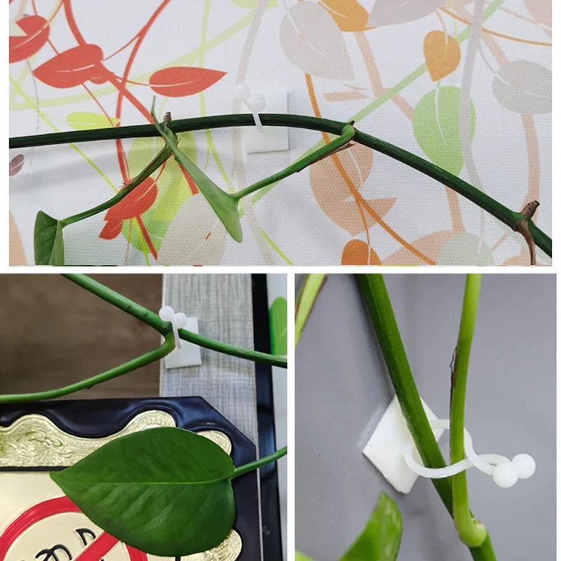 BowLift | Climbing Wall Mounting Clips – Practical Plant Holders for Wall Decoration
