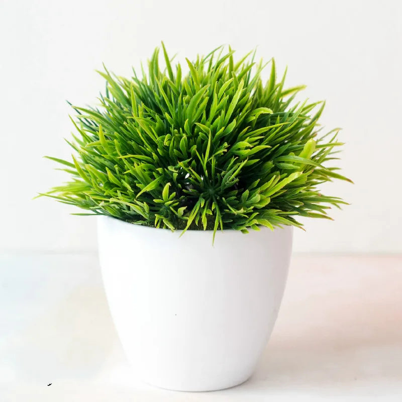 BowLift | Small Tree Pot Bonsai Plants