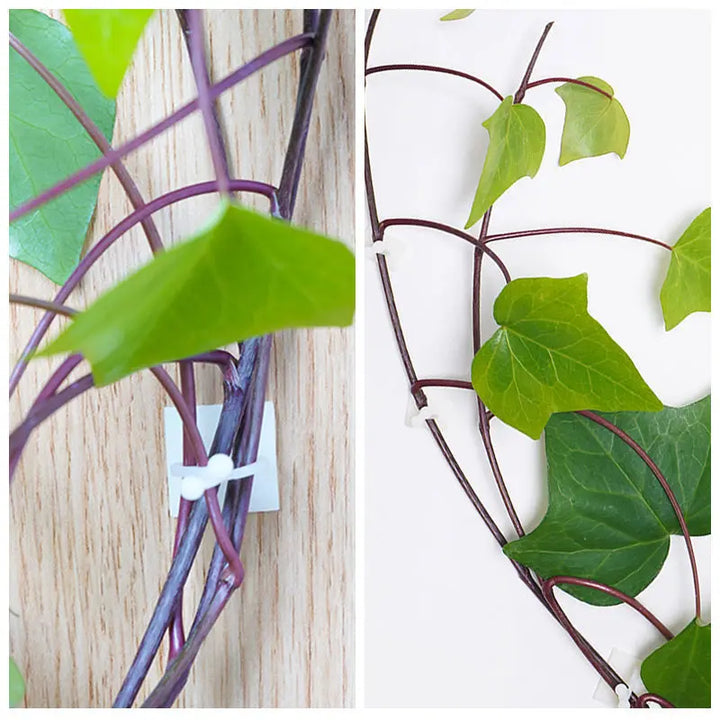 BowLift | Climbing Wall Mounting Clips – Practical Plant Holders for Wall Decoration