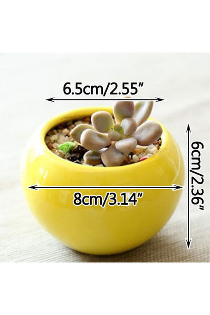 Pastell Charm Flower Pot | Bowlift