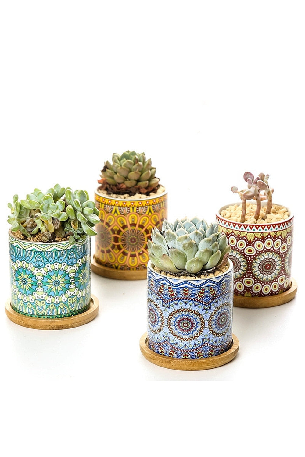 Elegance Pattern Flower Pot | Bowlift
