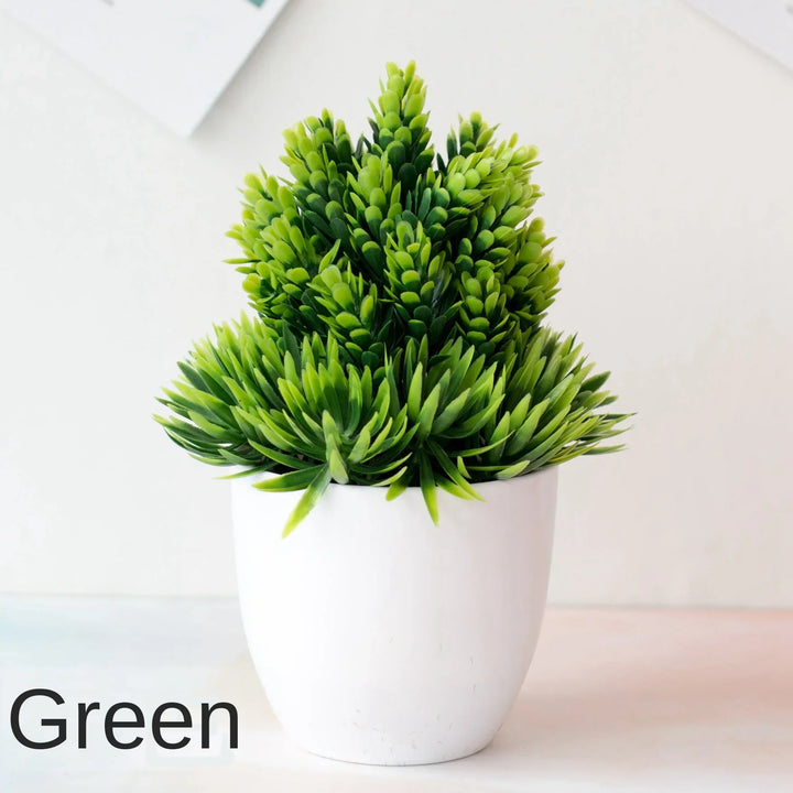 BowLift | Small Tree Pot Bonsai Plants