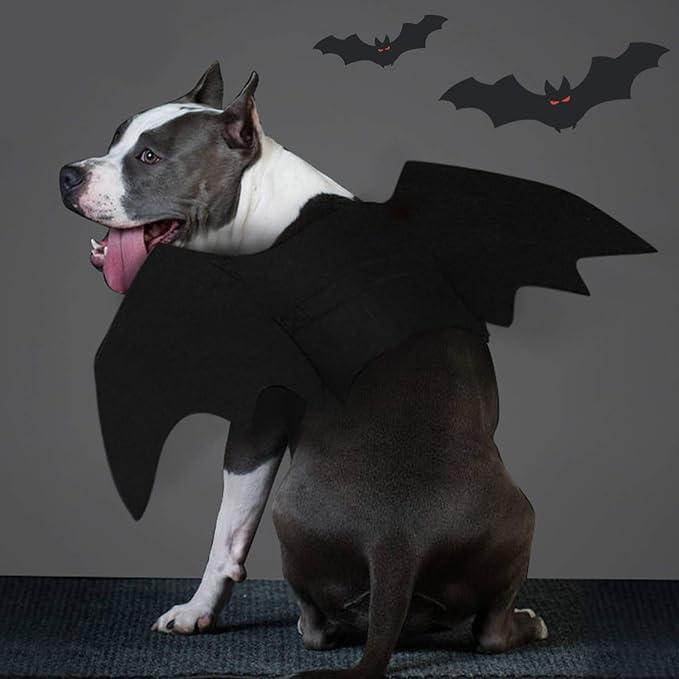 BowLift | Halloween Dog Costume Bat Wings