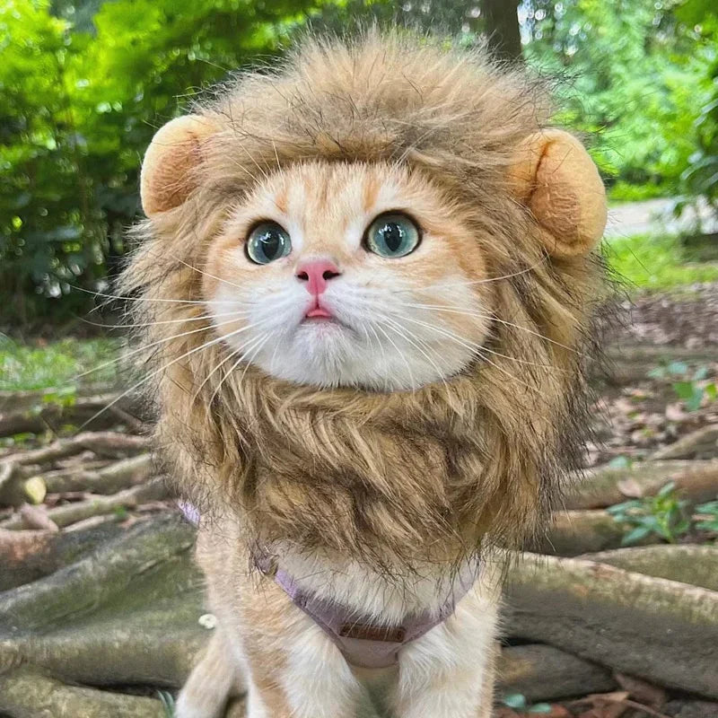 BowLift | Halloween Lion Mane Cat Costume