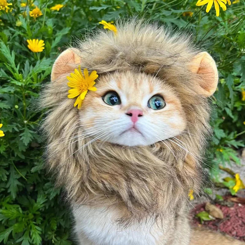 BowLift | Halloween Lion Mane Cat Costume
