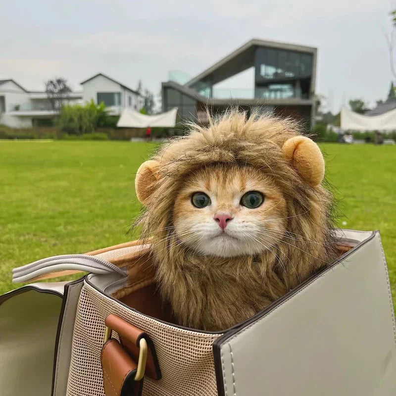 BowLift | Halloween Lion Mane Cat Costume