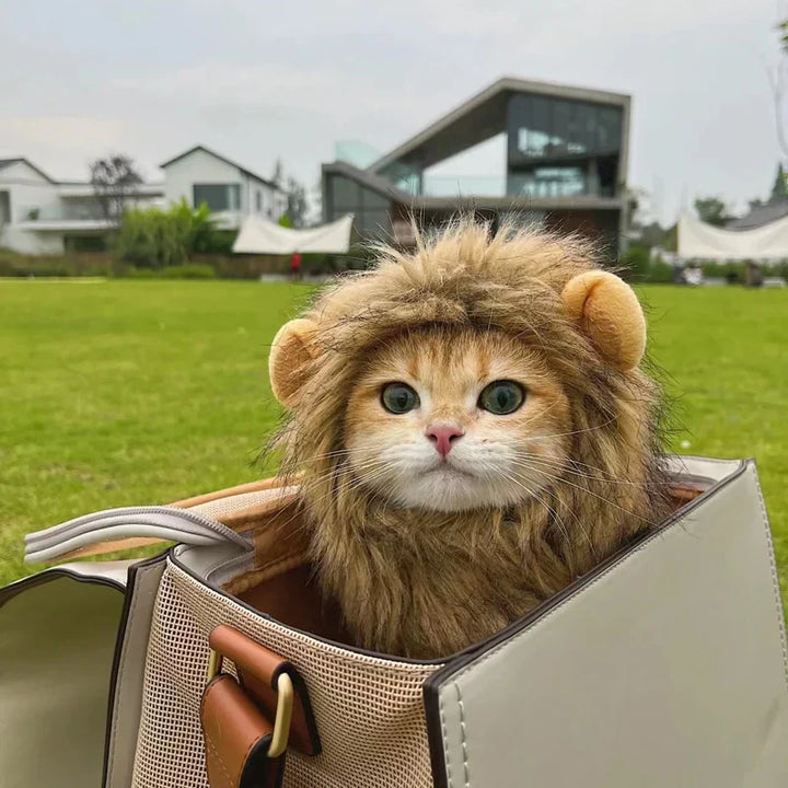 BowLift | Halloween Lion Mane Cat Costume