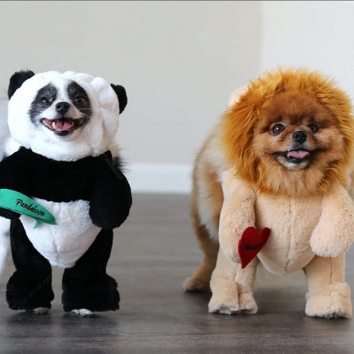 BowLift | Halloween Panda Dog Costume Outfit