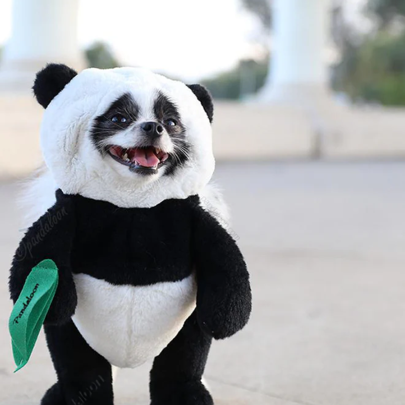 BowLift | Halloween Panda Dog Costume Outfit