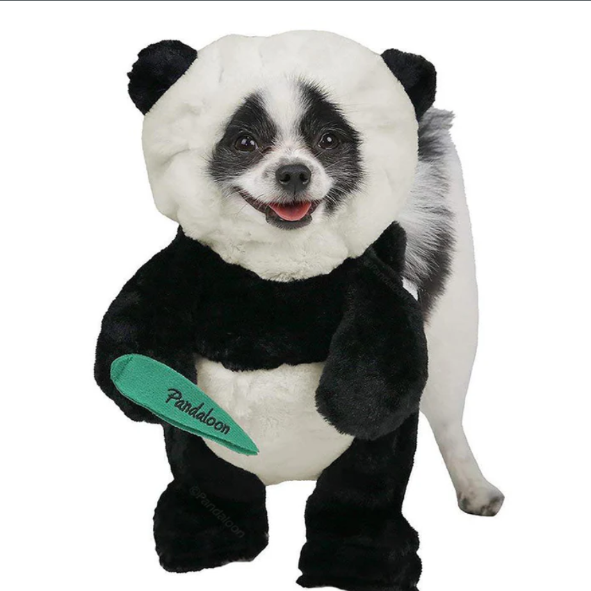BowLift | Halloween Panda Dog Costume Outfit