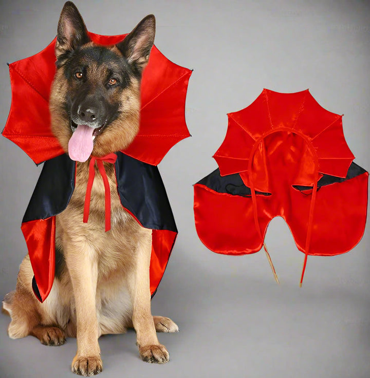 BowLift | Halloween Vampire Cape Dog Costume