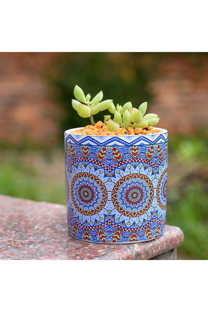 Elegance Pattern Flower Pot | Bowlift