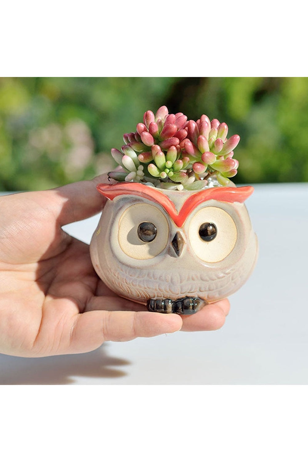 Eule Ceramic Flower Pot | Bowlift
