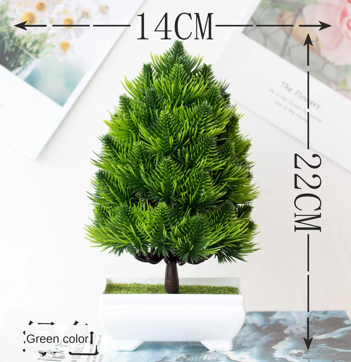 BowLift | Small Tree Pot Bonsai Plants
