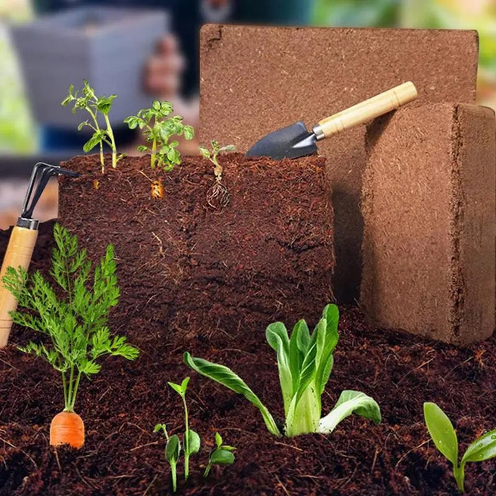 BowLift | Fertilized Coconut Soil