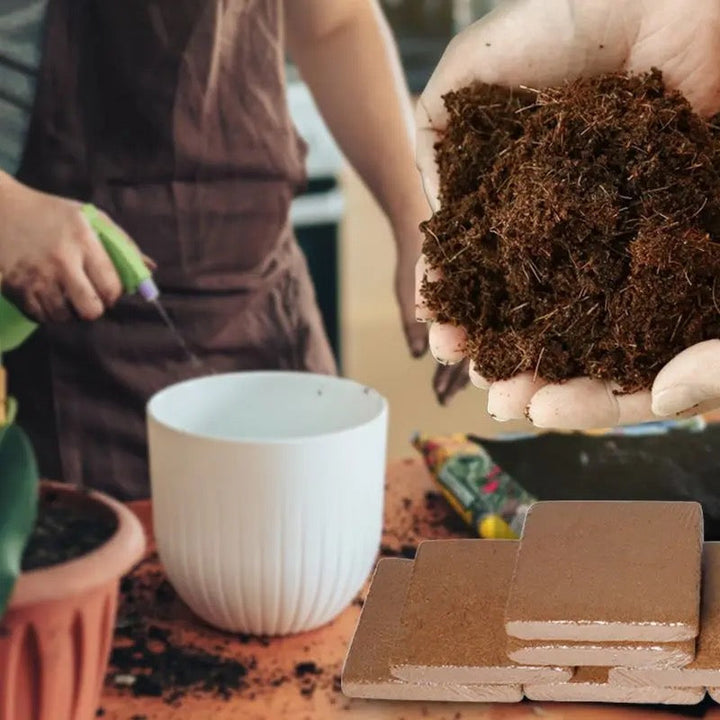BowLift | Fertilized Coconut Soil