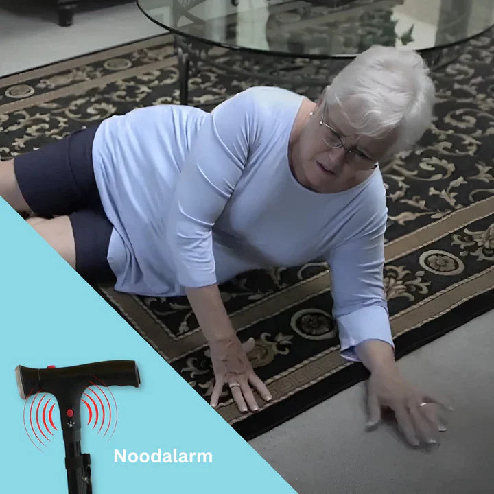 BowLift | Stable Walking Aid | Discreet Support for Independent Mobility