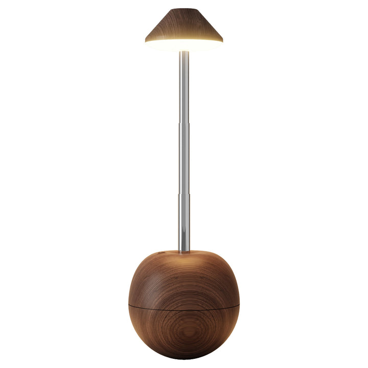 Adjustable LED Desk Lamp with Remote Control