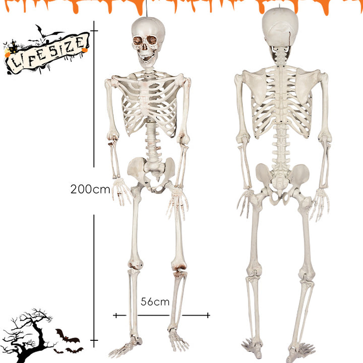 Realistic Life-Size Human Skeleton Decoration Bowlift
